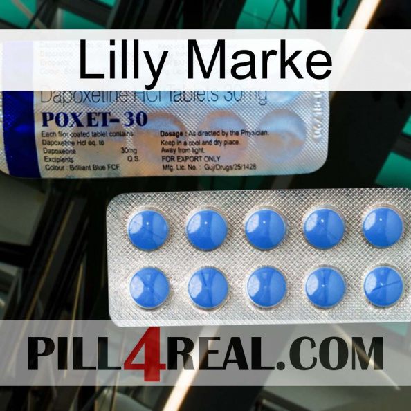 Lilly Brand 39.jpg